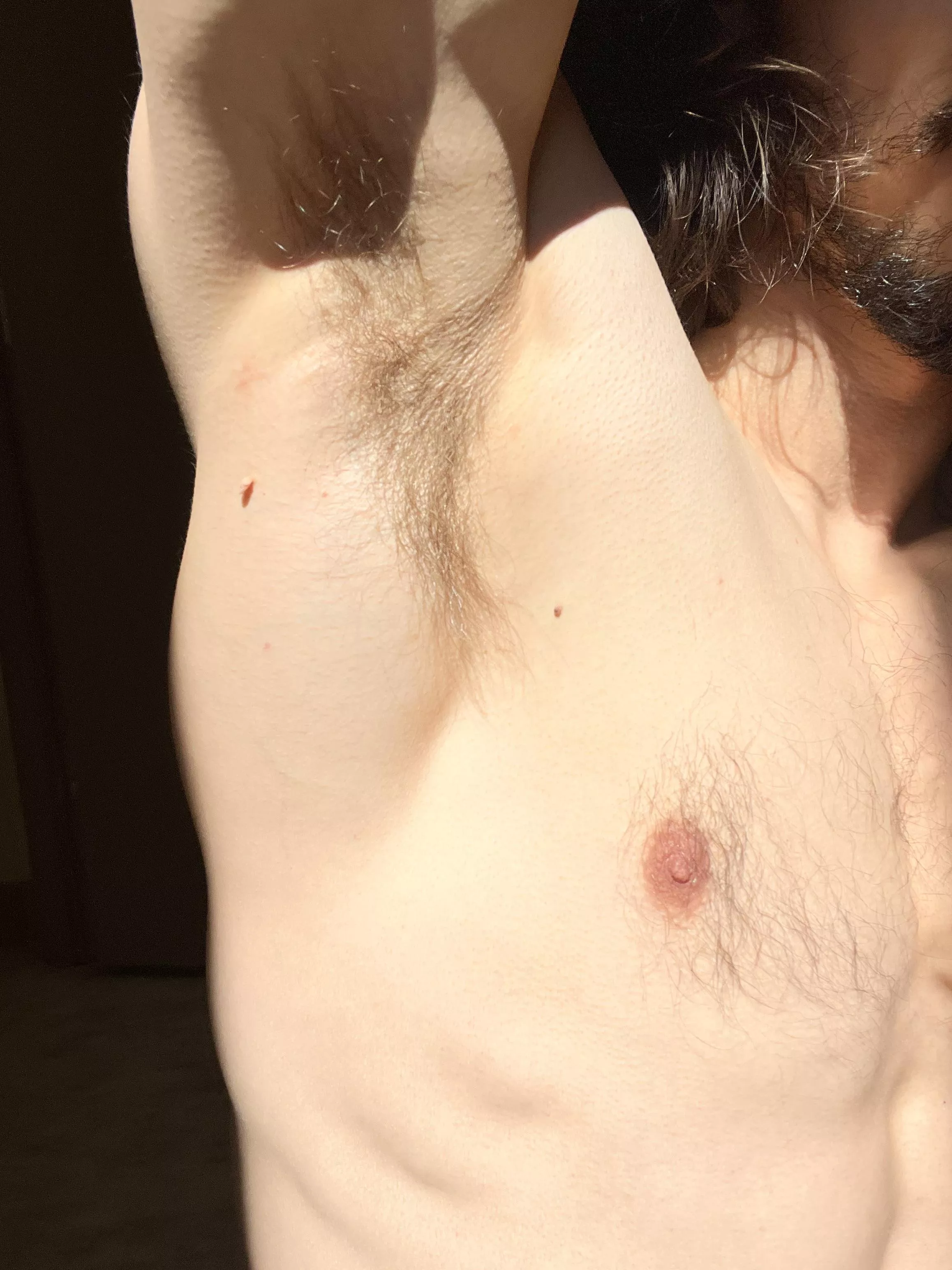 Have a sniff, it’s Friday! posted by Alittlecock