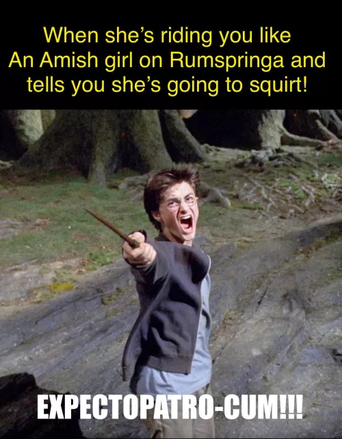 Mr. Potter… our new celebrity!  by notyournormalchatbot