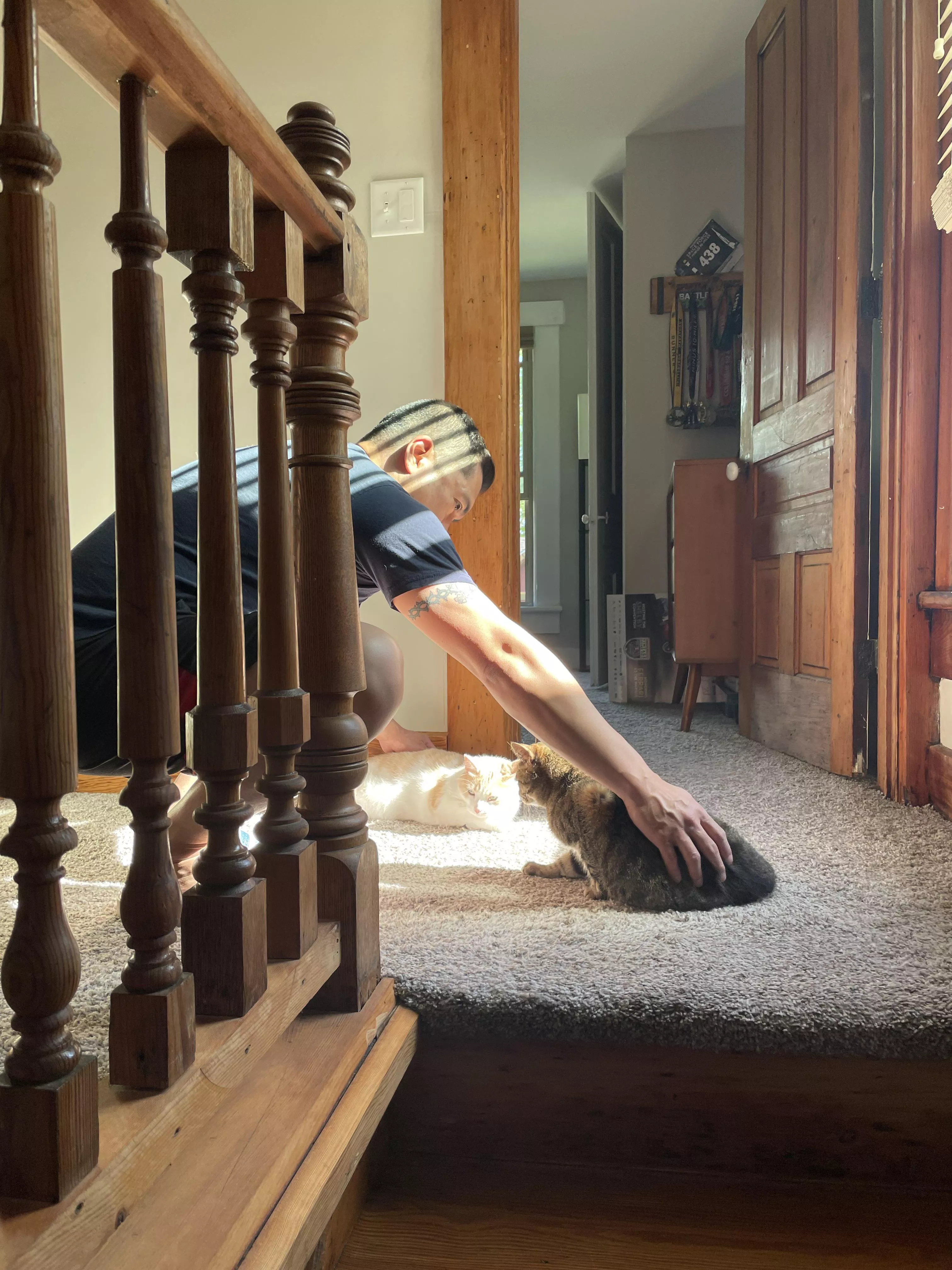 Our cats fought all day until my husband came home posted by NeverWorkedAtWalmart