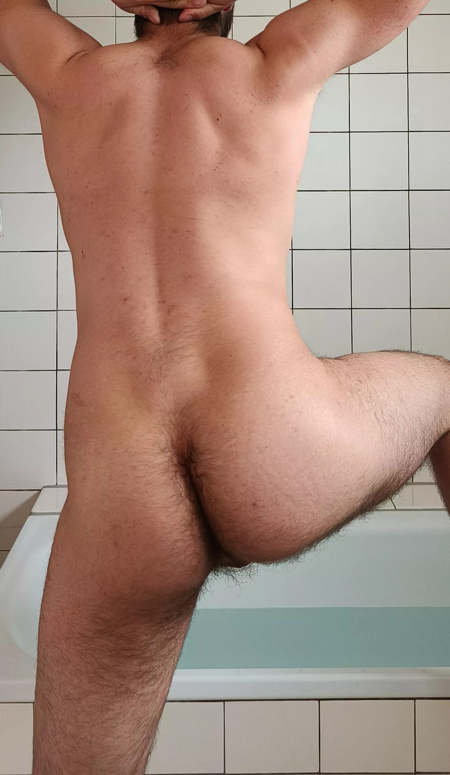 Sticking out my hairy ass[22] posted by __baco__