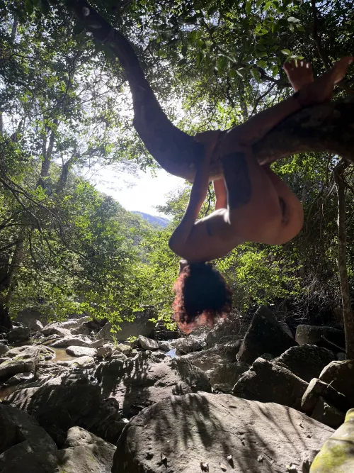 The cure is in the forest by lala_lais