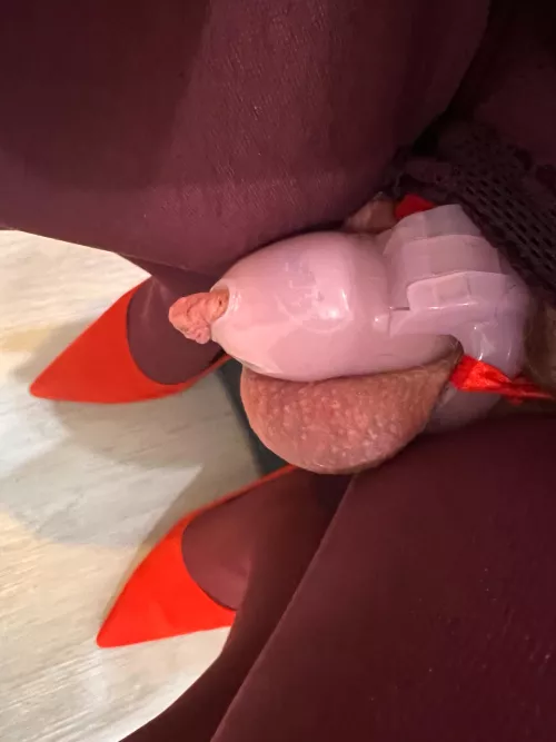 Tight how it should be by Accomplished-Lunch84