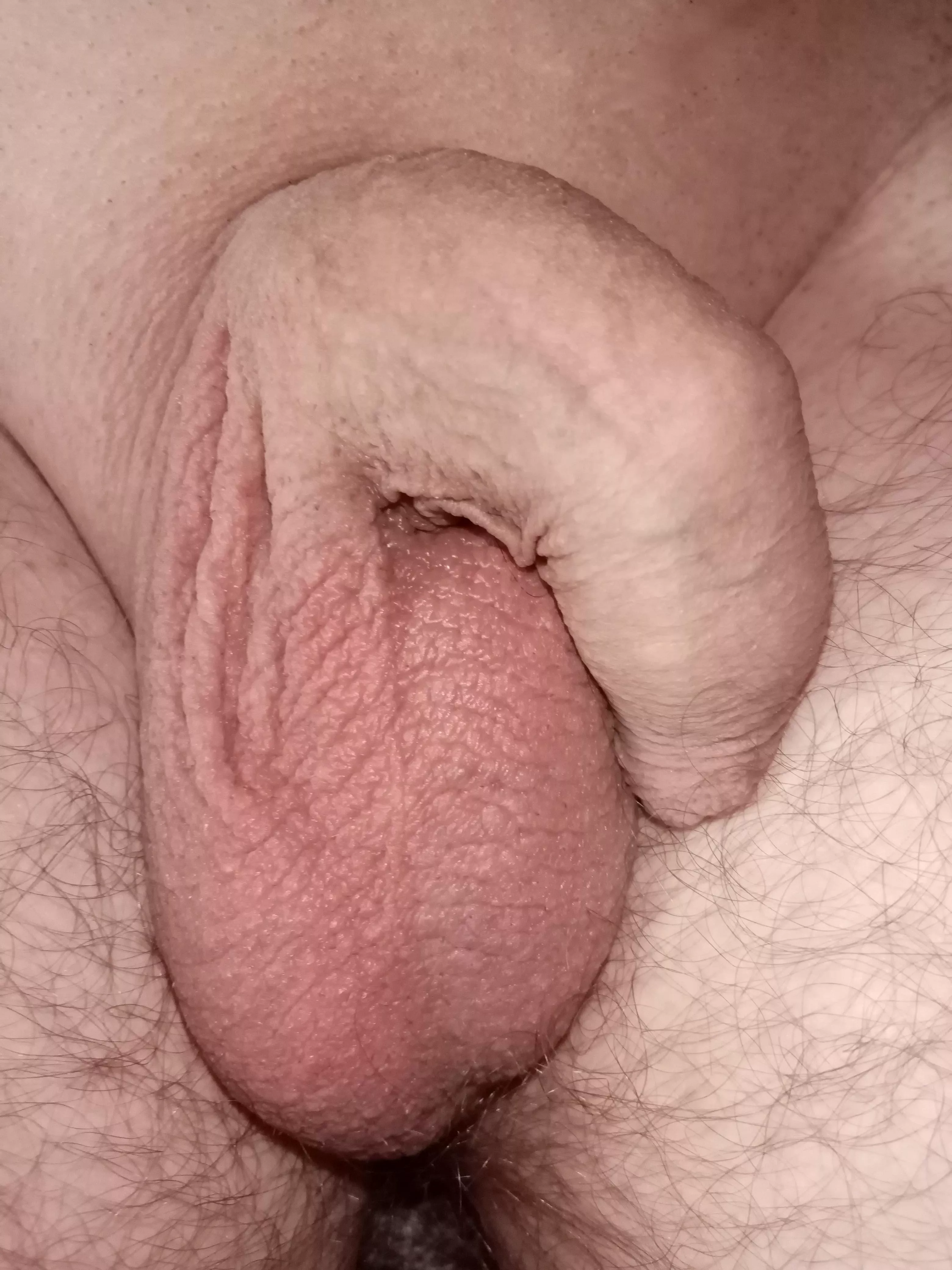 (46)  posted by AssignmentNo2060