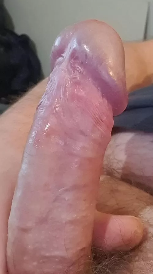 Close up ;) by Glum_Village6461