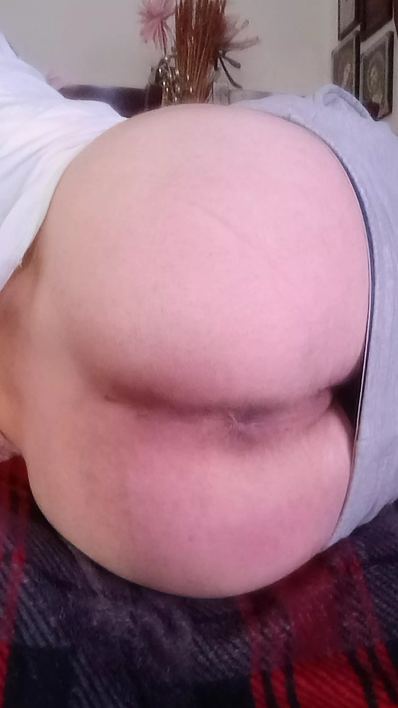 Do you like my ass?? posted by Sea-Comparison5968