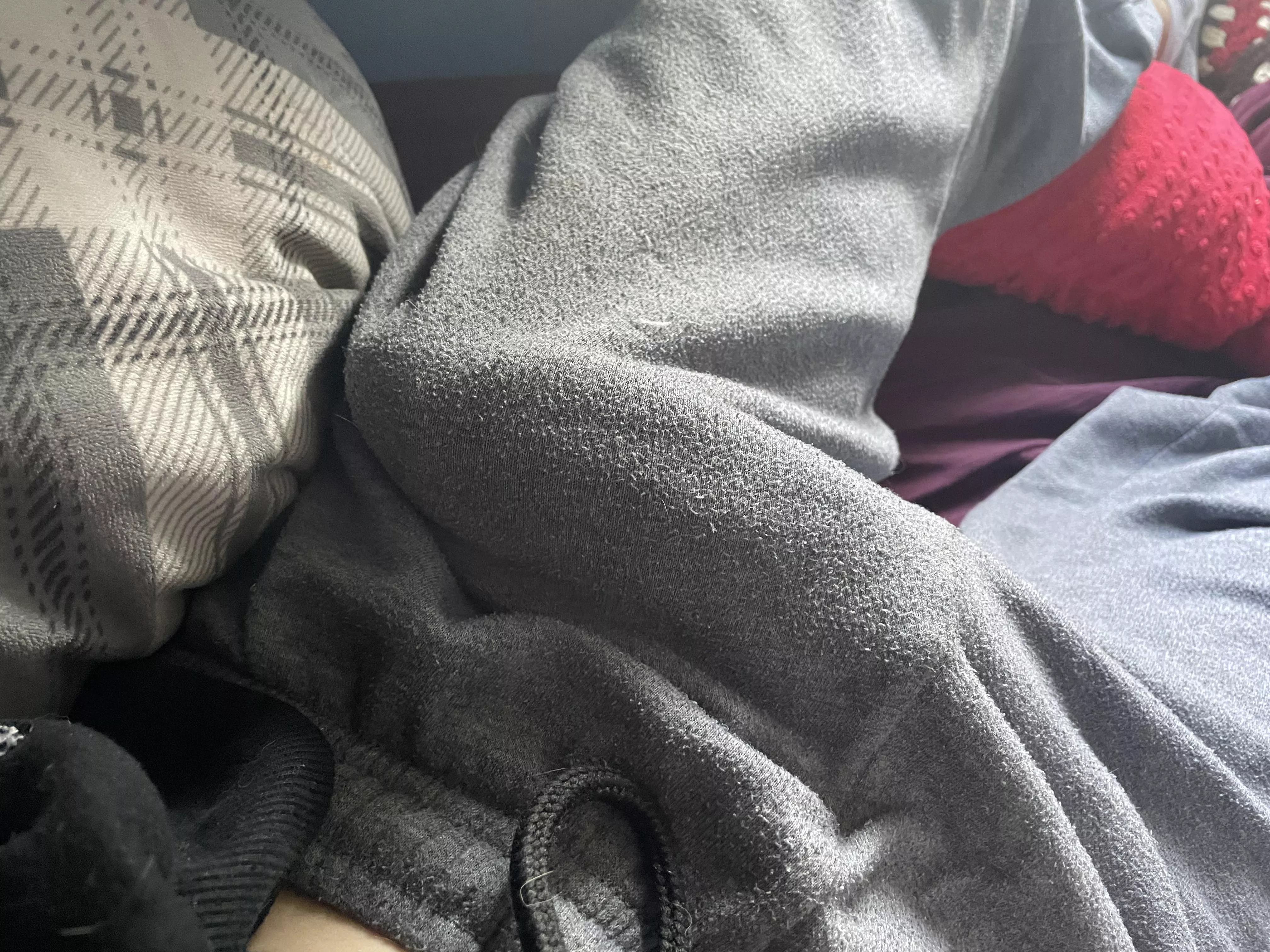 Feeling real lazy today posted by Feisty_Balance_4931