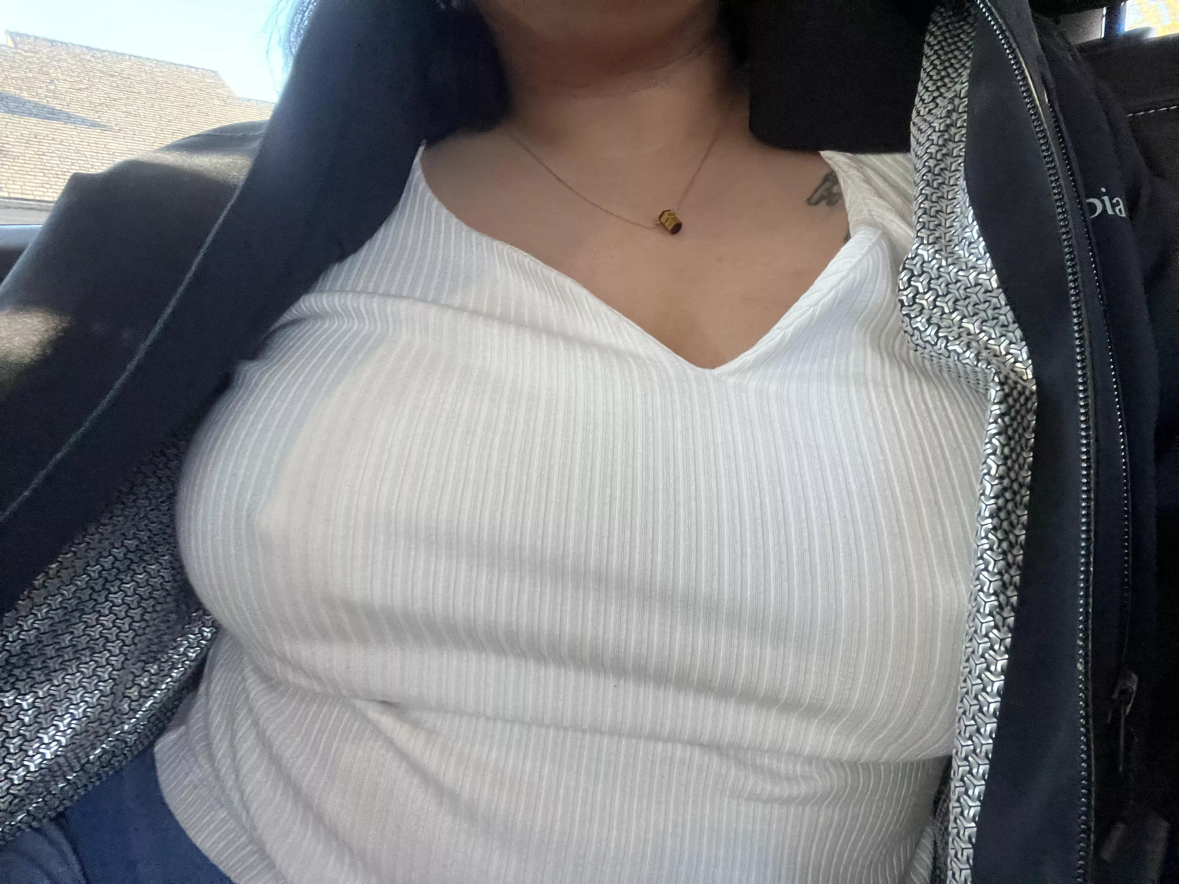 Feels like springtime, doesn’t it? posted by gemmacactus