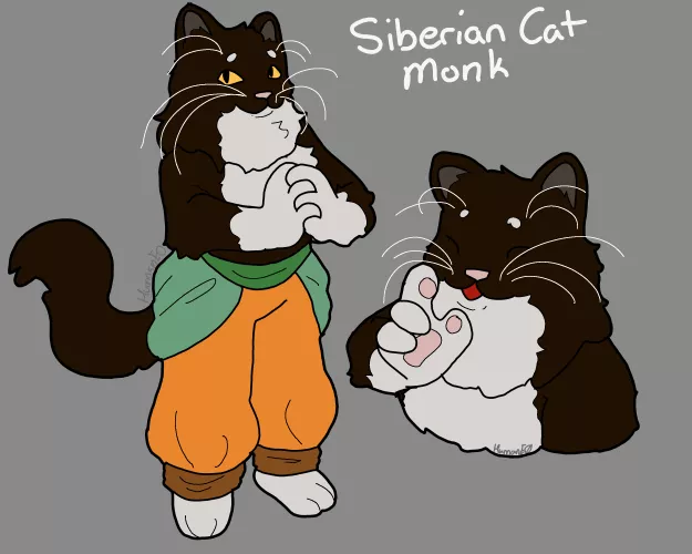 Fluffy monk meow meow by Human_ThatIsntTaken