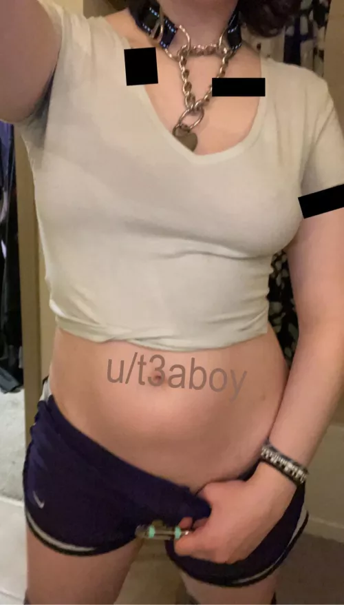 happy 420 from your fav stoner pup  by t3aboy