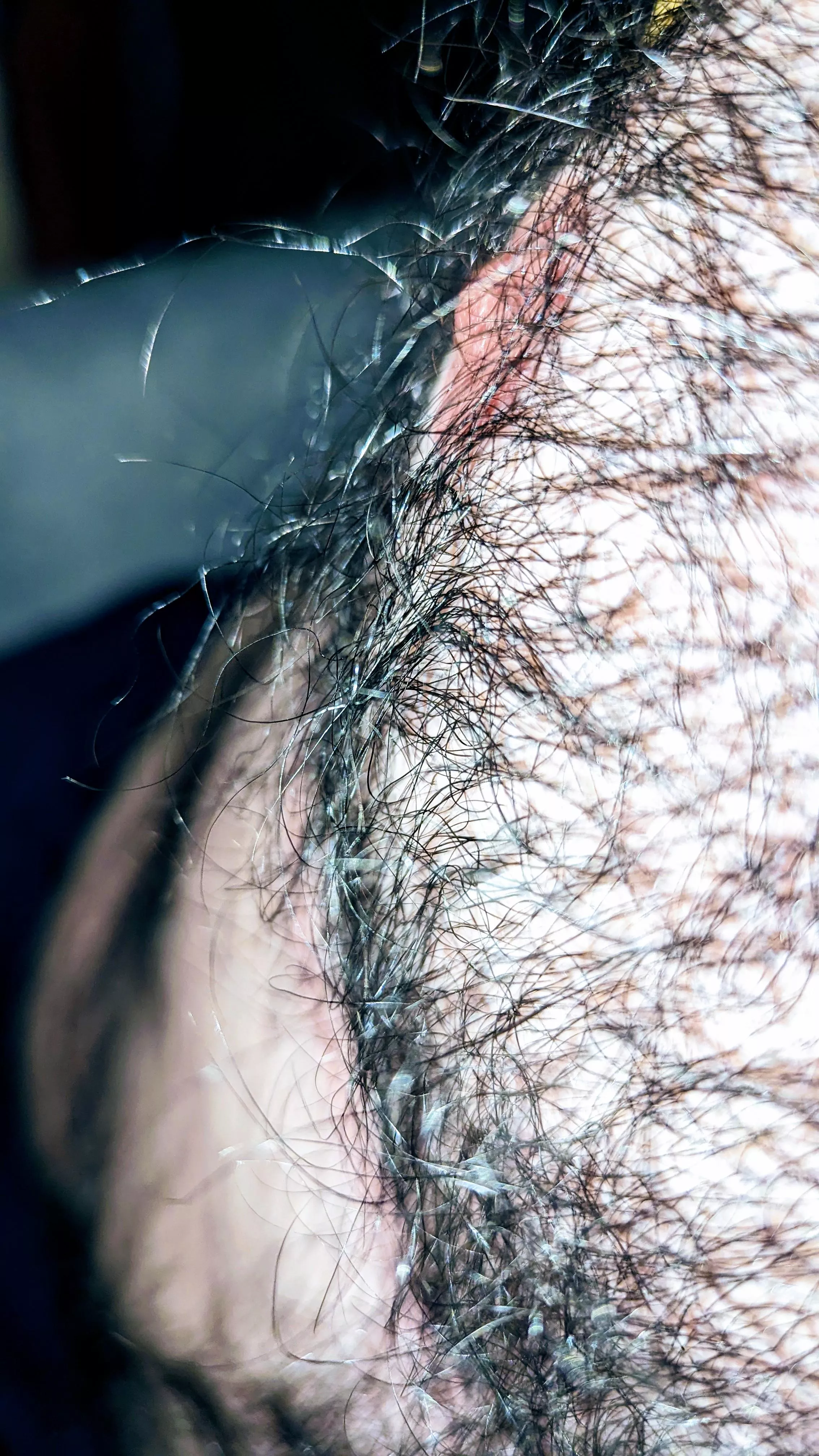 Just a nipple after all. posted by Anxious_Ananas_643