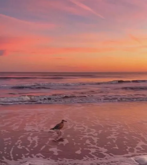 Just some photos from around where I live. by aria_arshadi