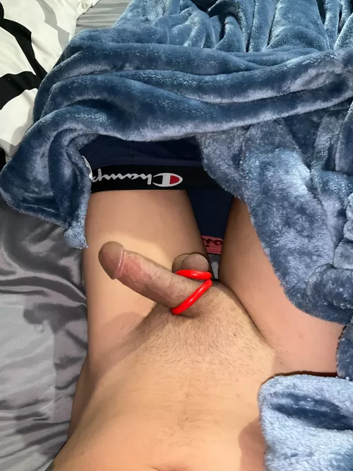 Morning wood  by Ok_House_107