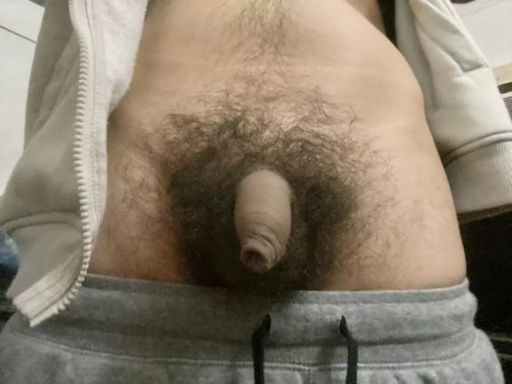 My hairy dick posted by MilkyWayy55