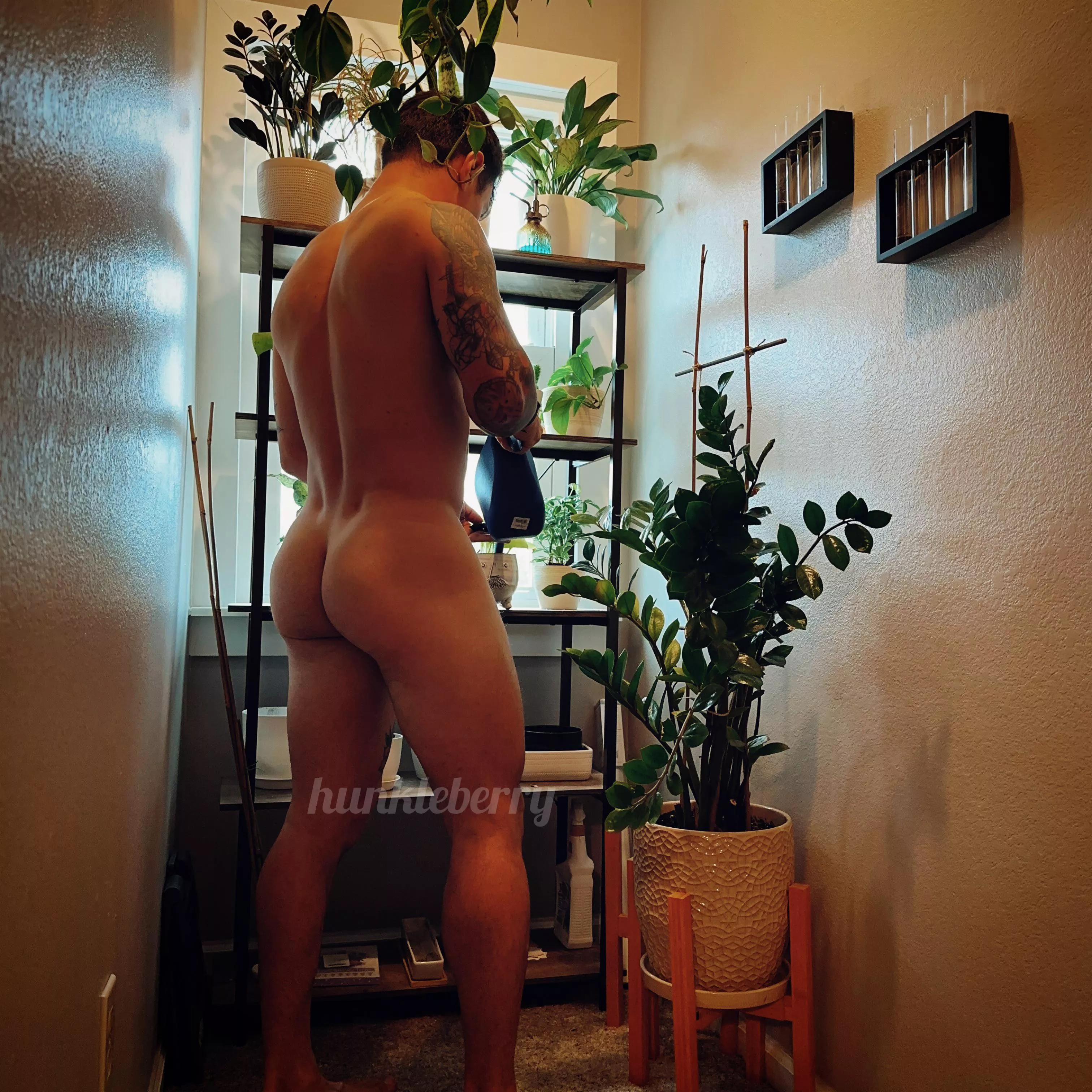 Plant Daddy 🌿 posted by im_your_hunkleberry