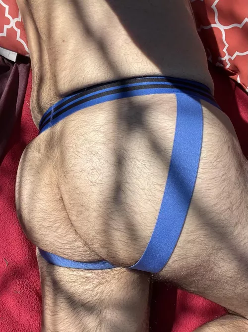 Time to get some sun on these furry cheeks by Usual-Mountain-1877