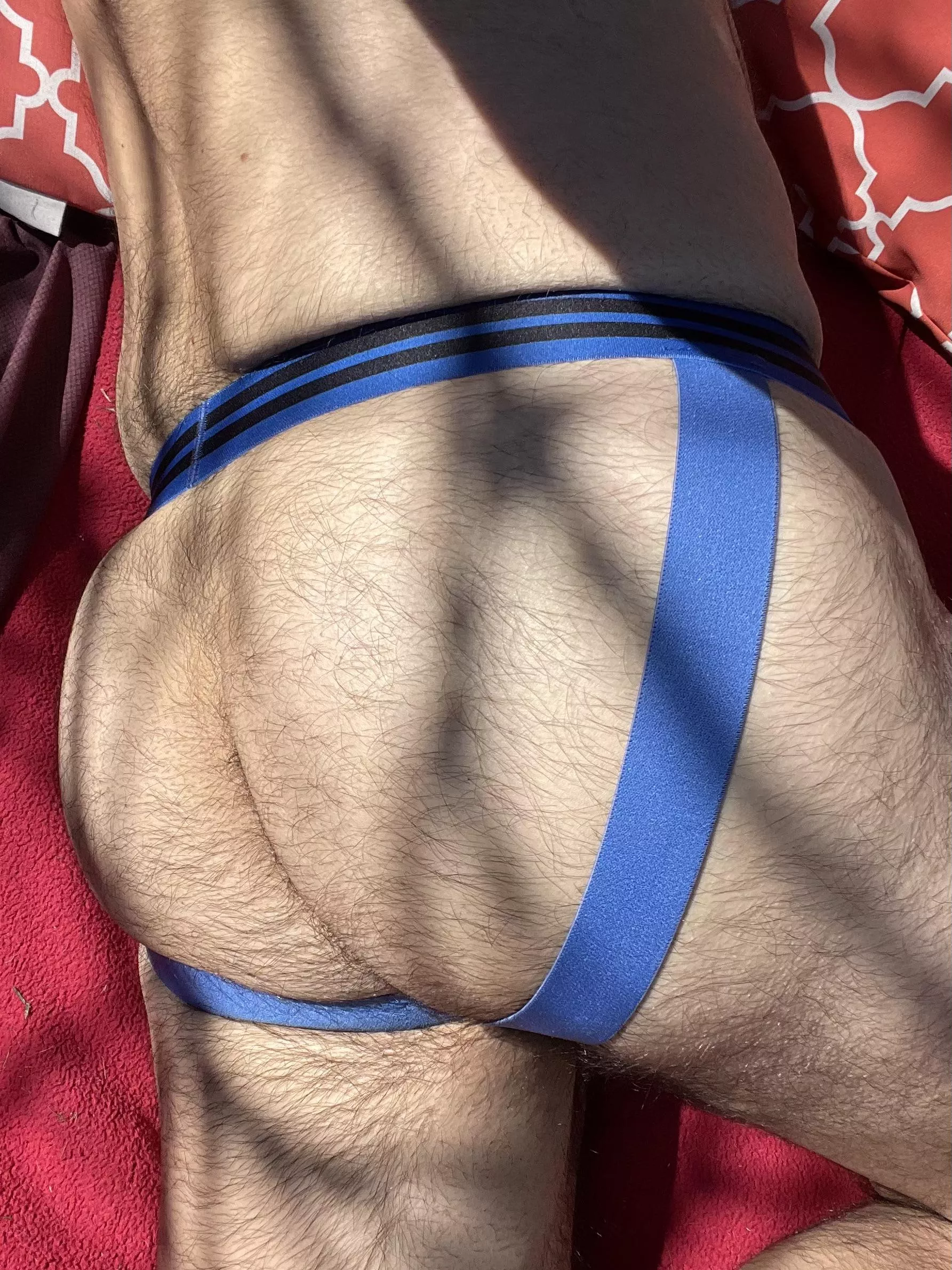 Time to get some sun on these furry cheeks posted by Usual-Mountain-1877