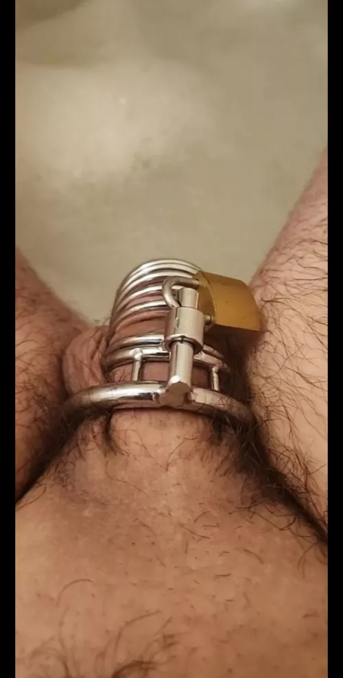 When should this 20 year old sissy take their cage off I just put it on by Audrey-aimes99