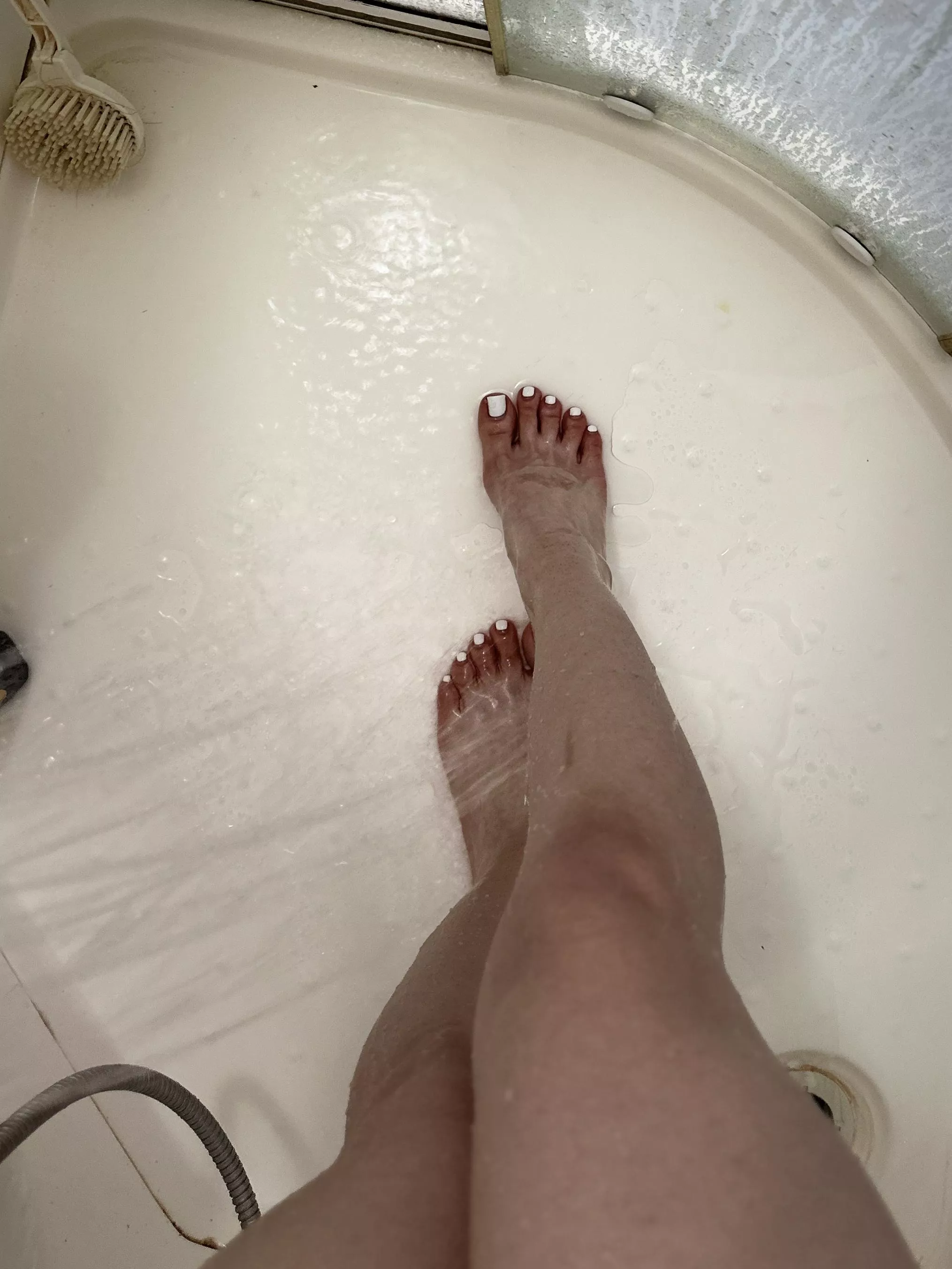 Would you choose red or white to suck it? posted by serapetal