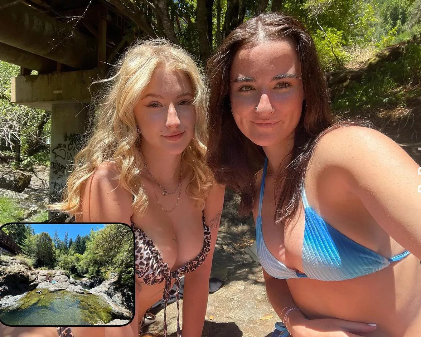 Blonde or Brunette? posted by whitetoweltw