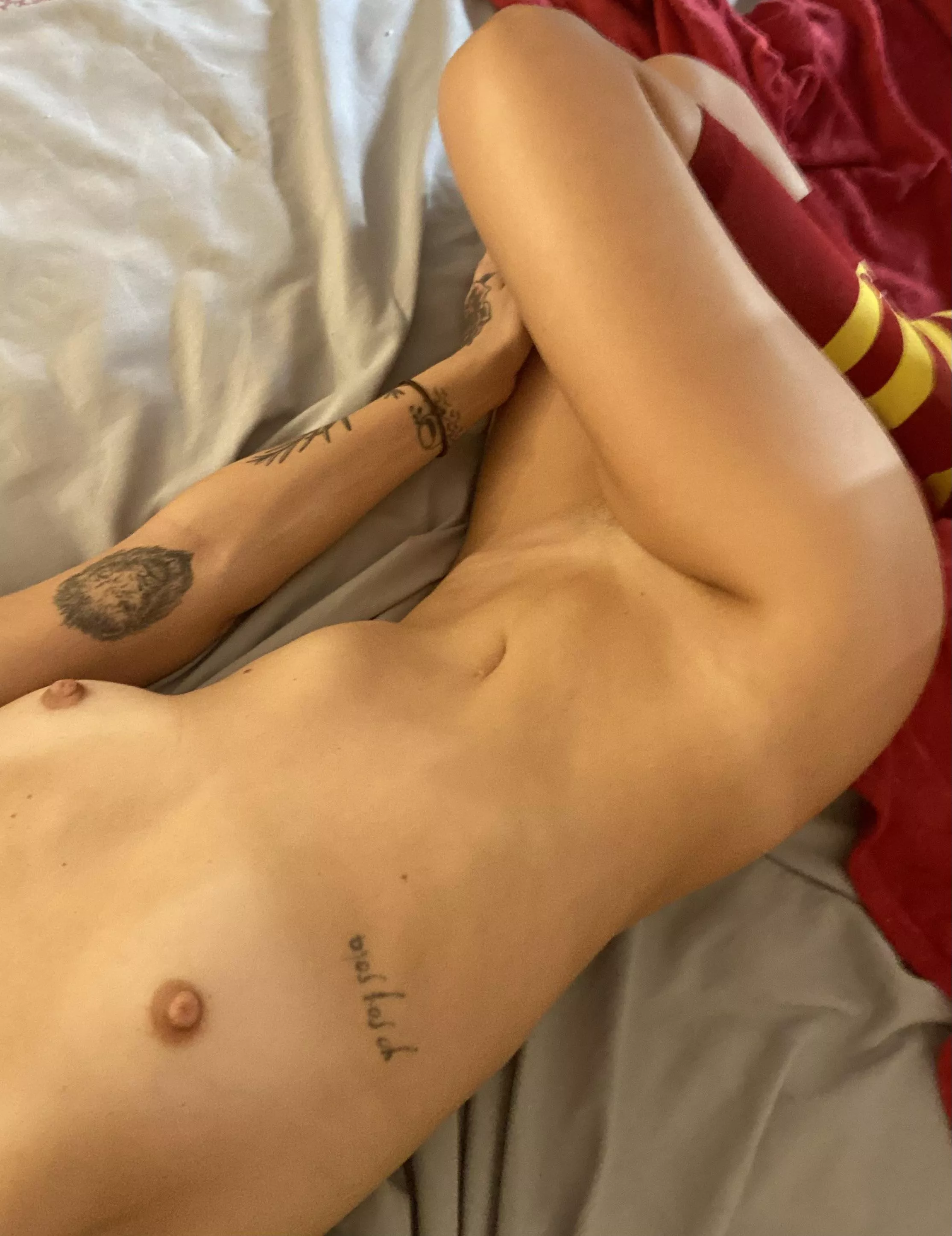 Did you get the sock reference? posted by Traditional-Quote390