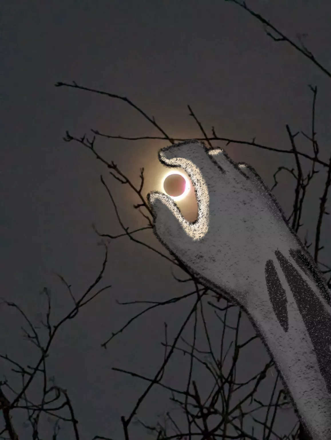 Eclipse  posted by Due_Media_642