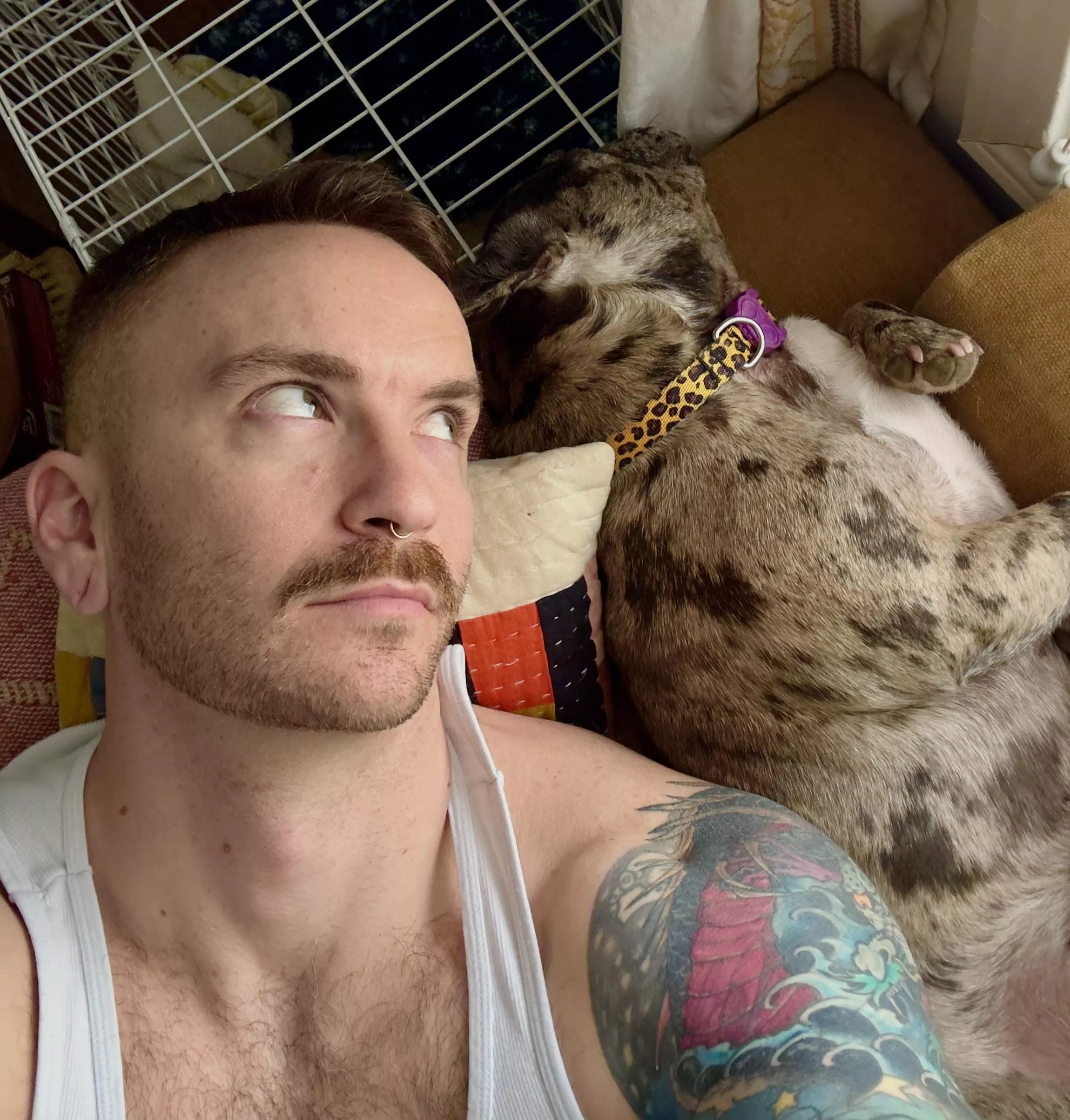 Felt beefy after shoulders/chest day. Hanging with my sleepy baby girl, Celeste. posted by ohitsjustsean