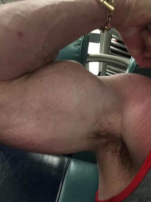 Flex Pit by Usual_Veterinarian33