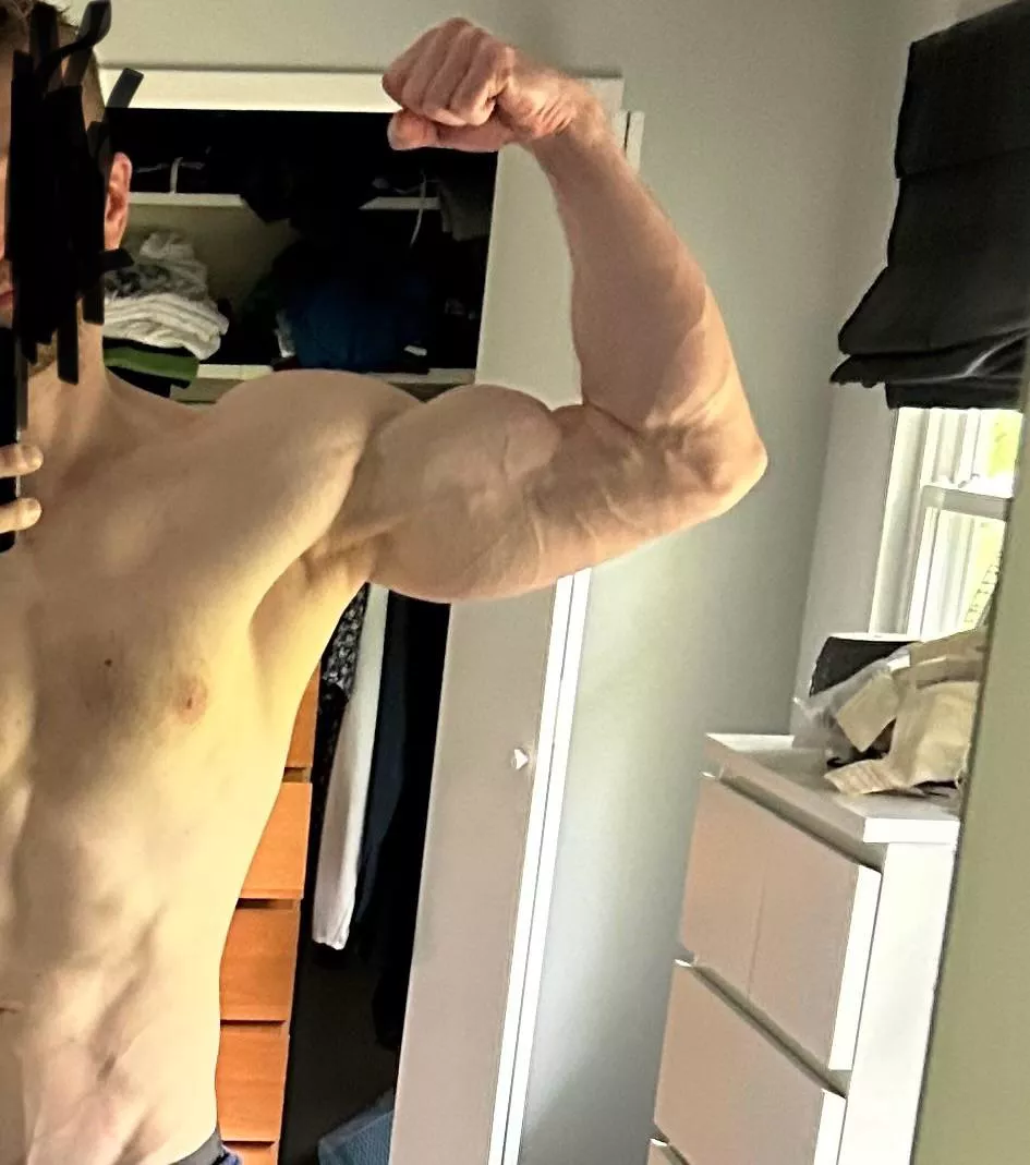 Forearm 14” posted by dlukosik