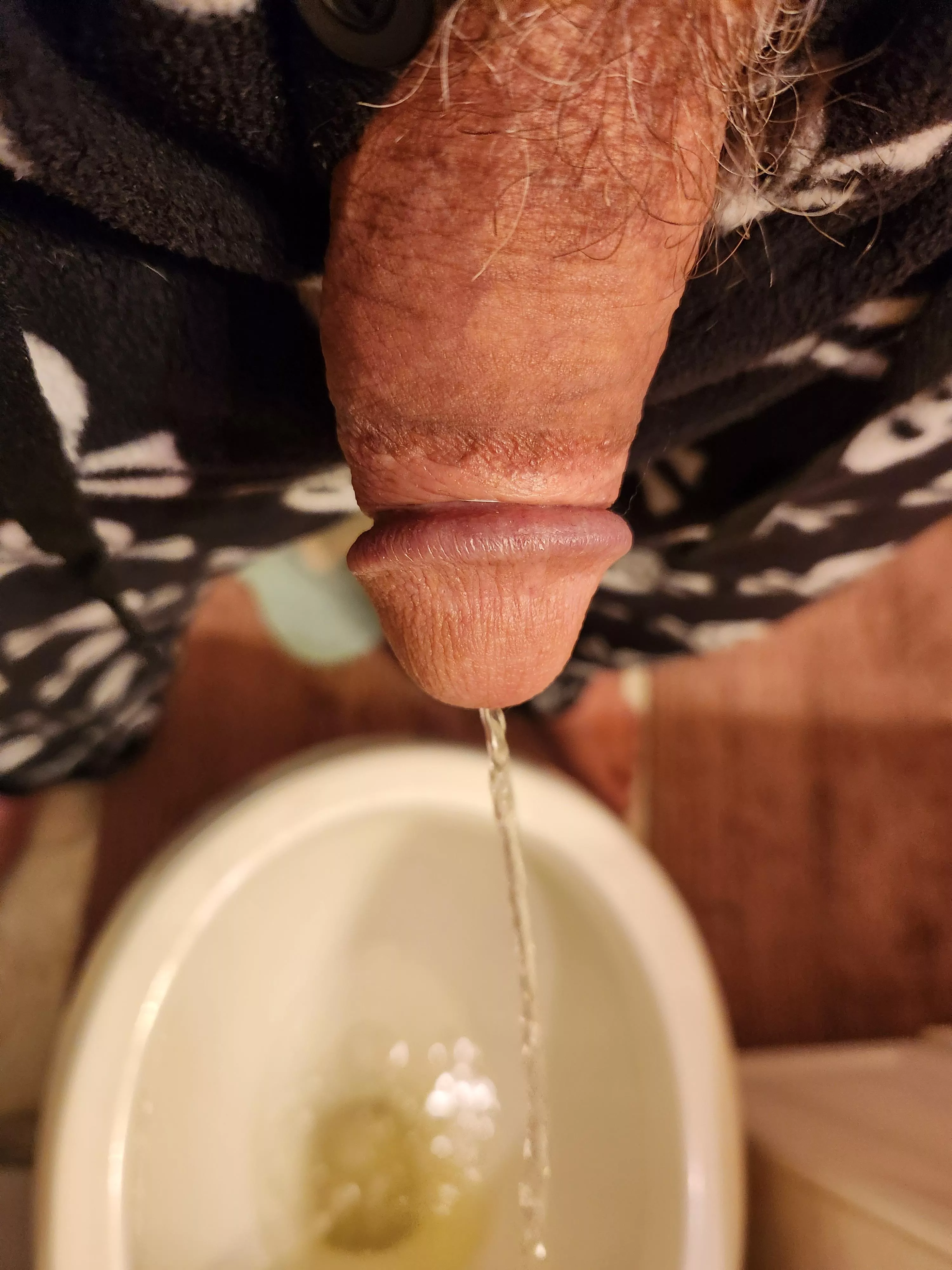 Getting that first morning piss out! posted by Bush-Wacker69