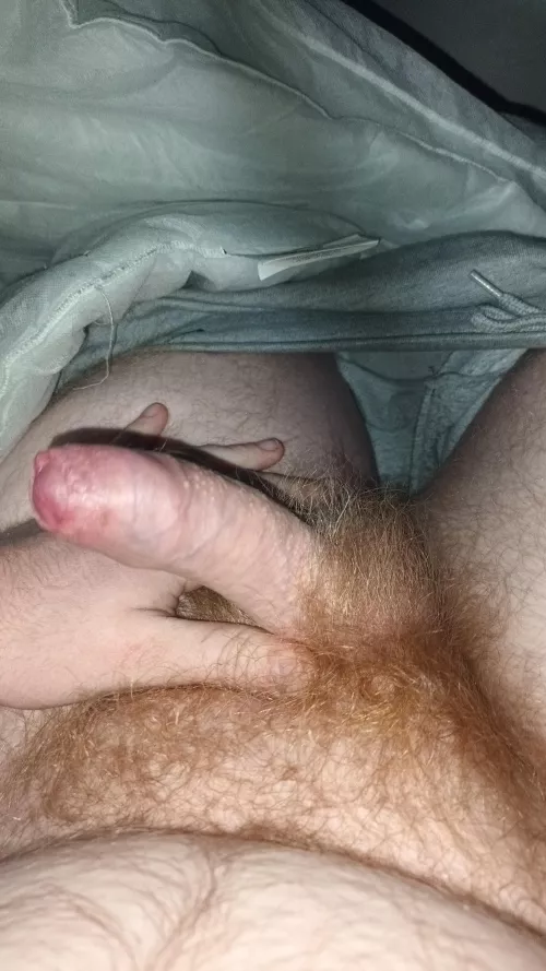 Ginger pubes  by ChipChippa77