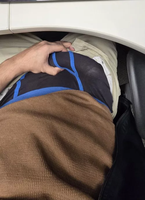 Hard at work by Helpful_Motor_6245