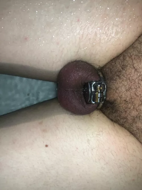 Is this color dangerous  by xsika1