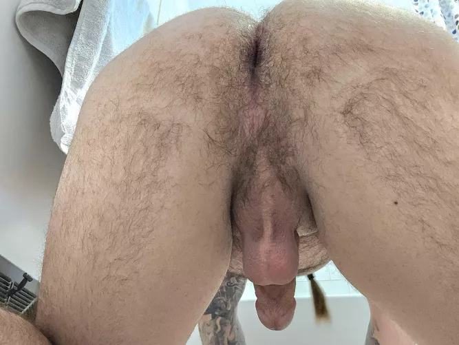 I've always wanted to get my ass eaten.  by dikkdingers