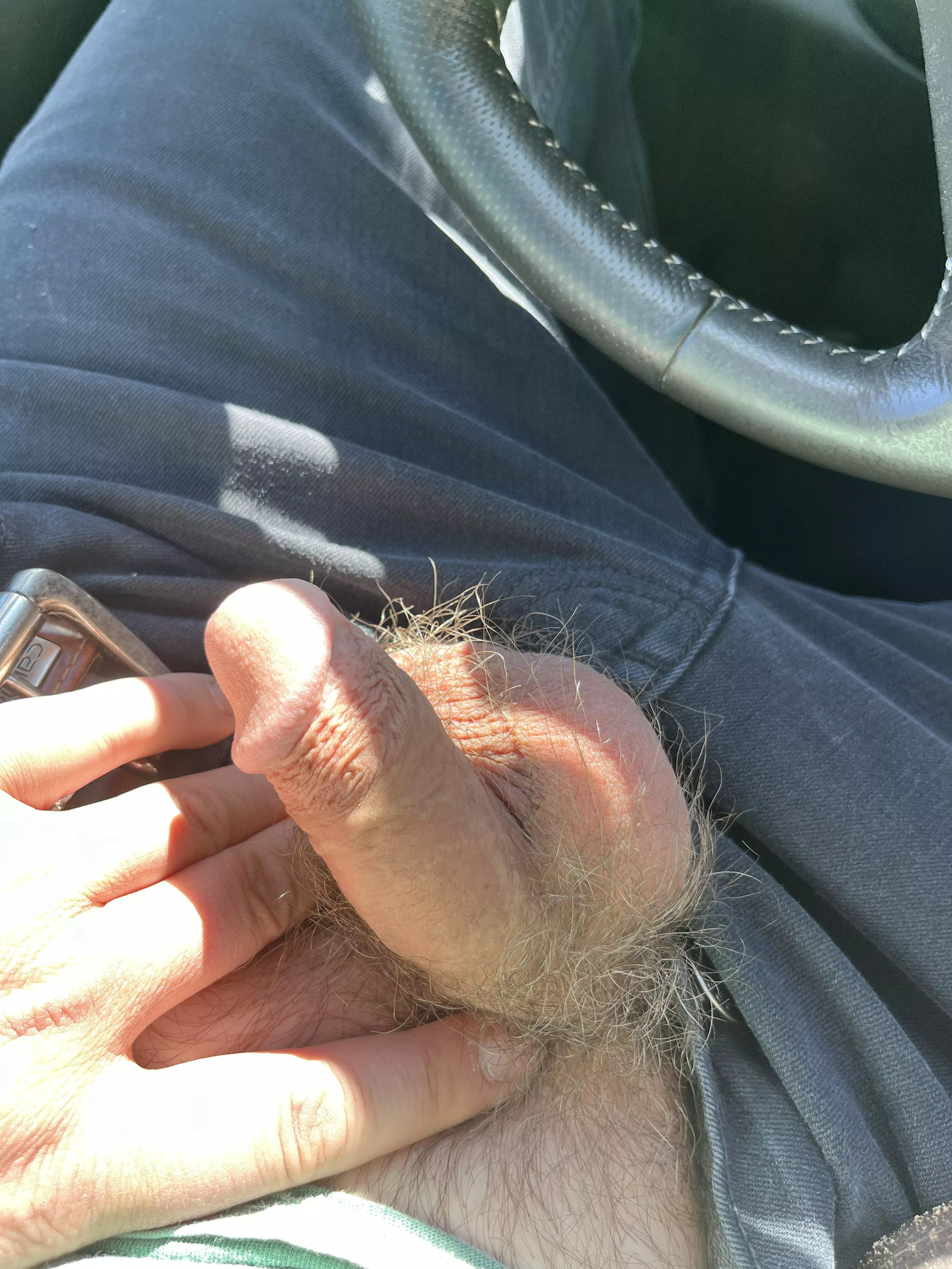 Just enjoying the sun in the truck today posted by Obvious-Duty-8596