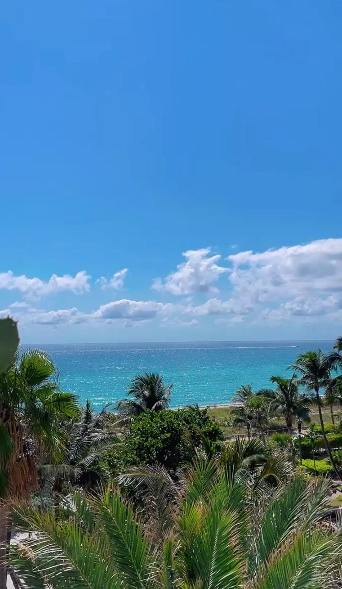 Never get tired of this view  posted by Shipwrecklou