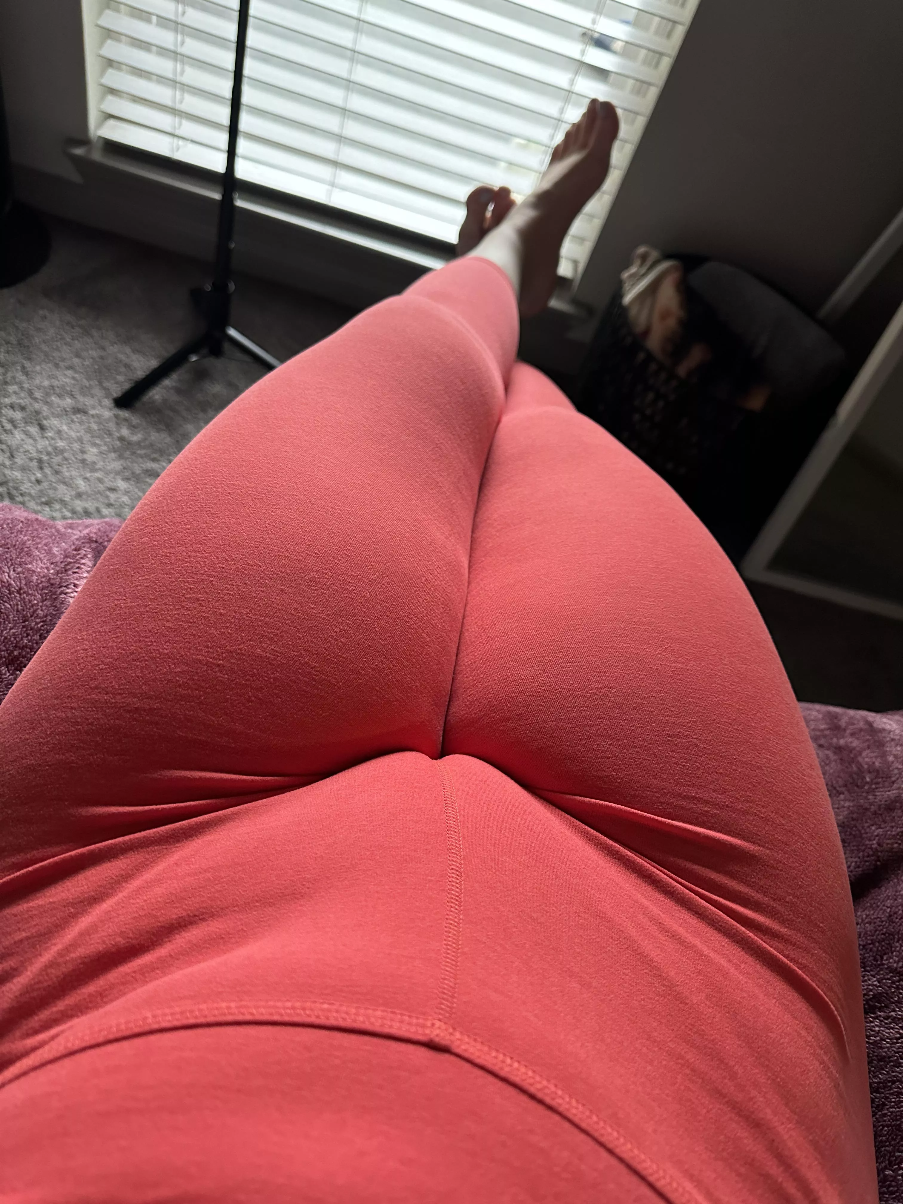 ready for a snack before dinner? posted by cumwcourt