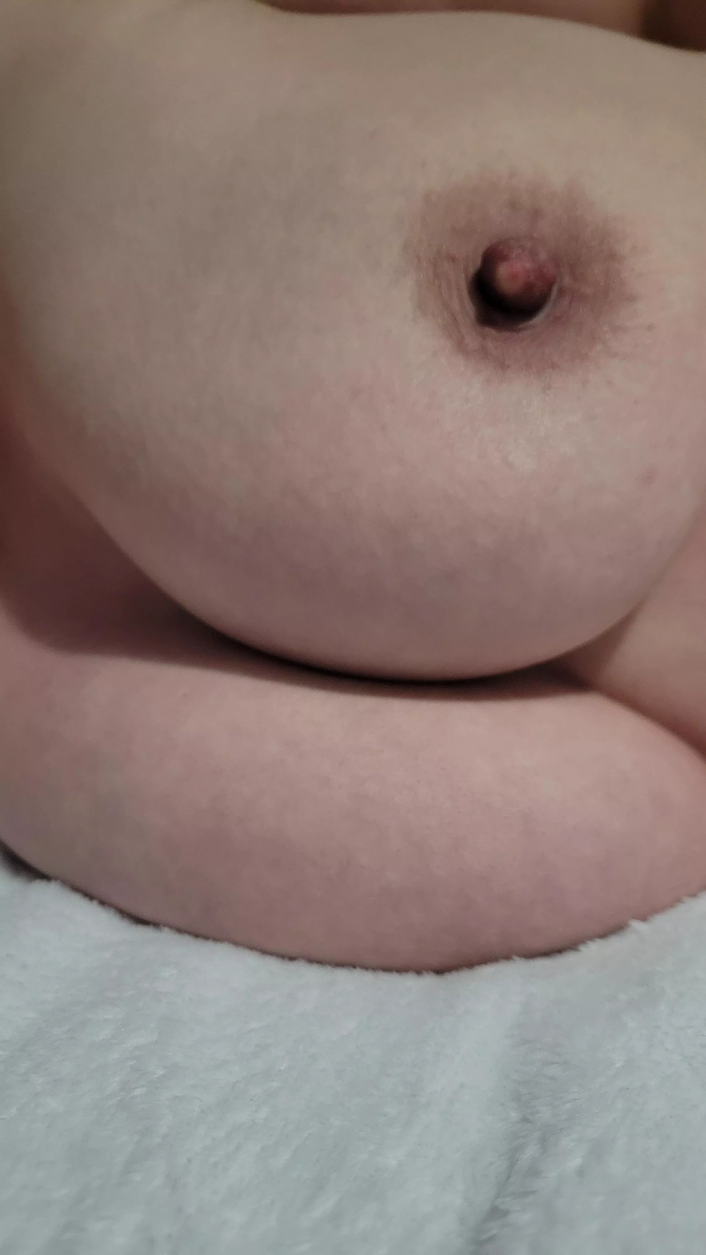 Sunday Plans? posted by Classic-Cherry9751