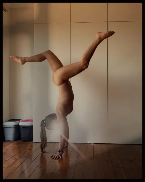 The dolphins had always believed that they were far more intelligent than man. by Crossing3Orbits