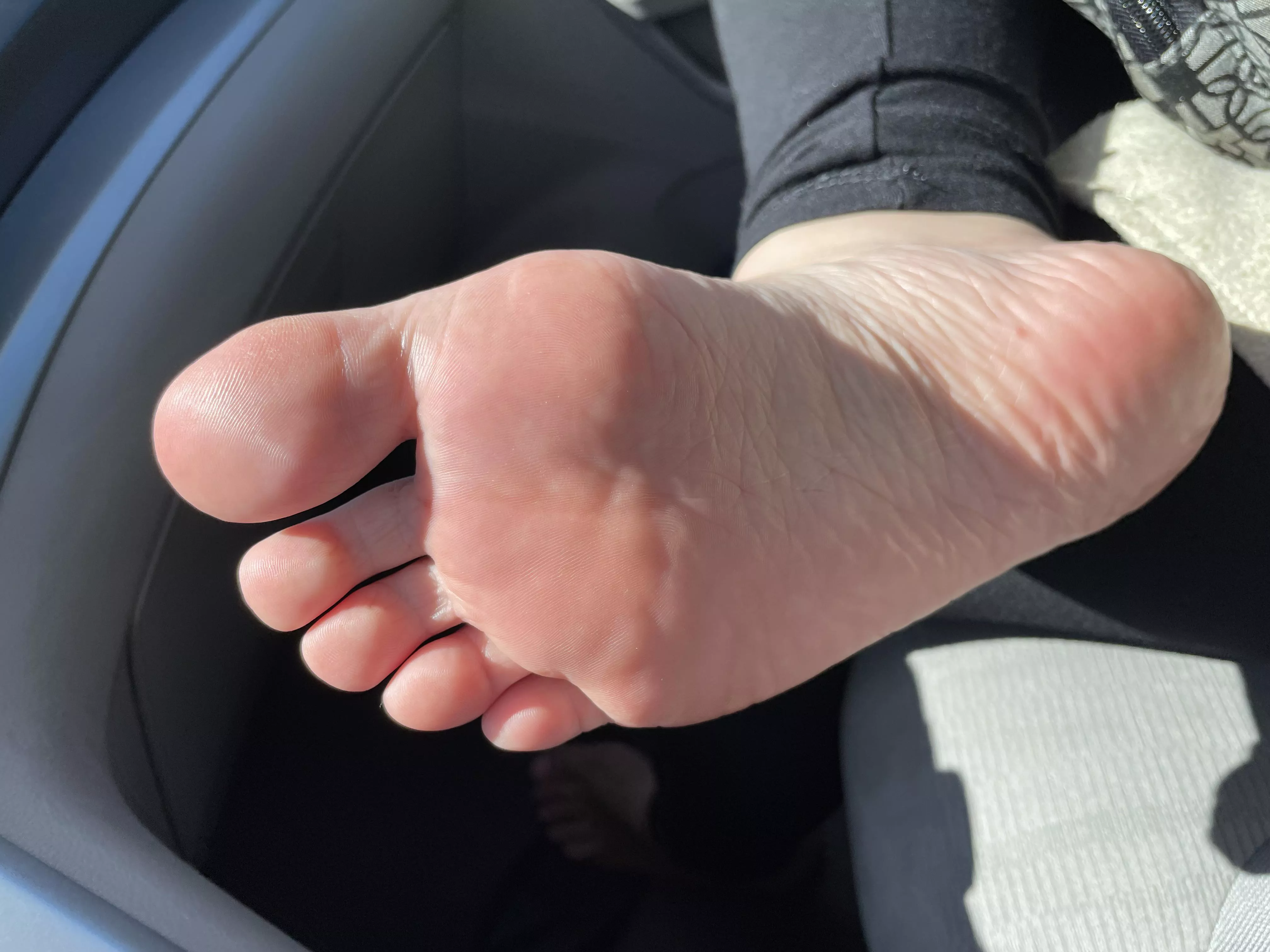 Would I be too distracting on our road trip? posted by TinieFeets