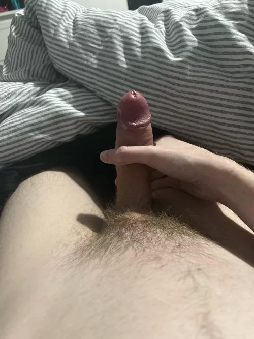 21m uk bi slim twink dom looking for twink subs to serve me. Pls be a teen or max 25yo. Hmu with asl and a pic at kiangrist22. by Honest_Dark_2051