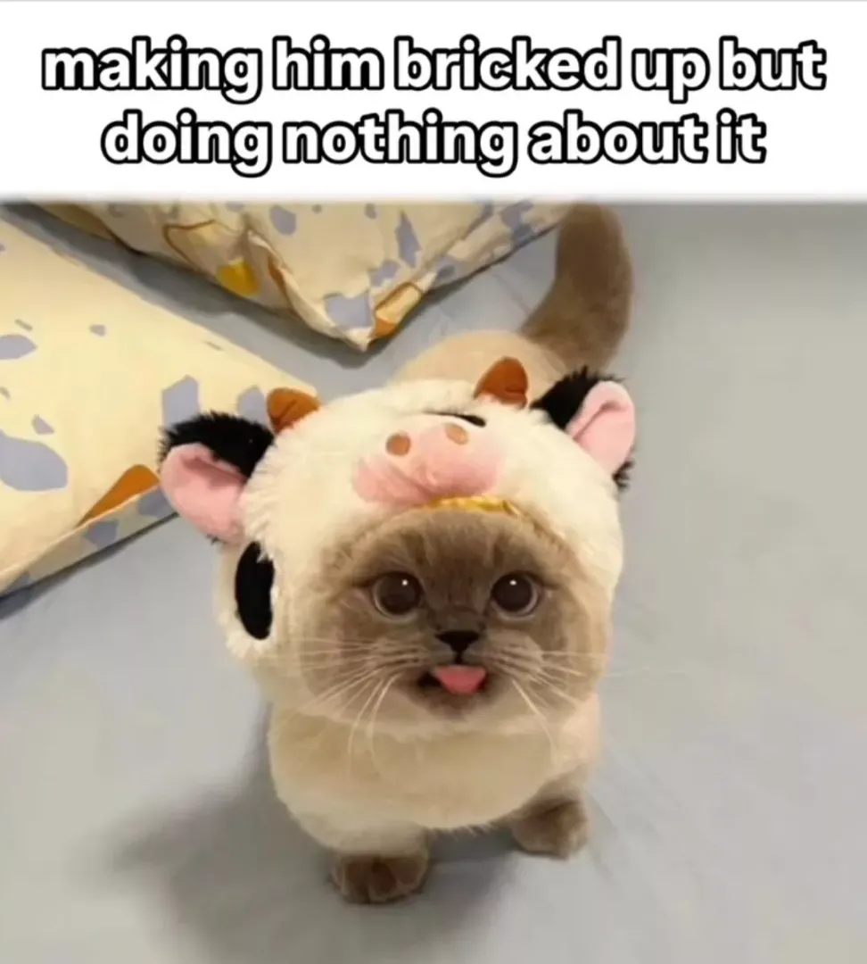 Another Kitty Meme posted by -SecretAltAccount-