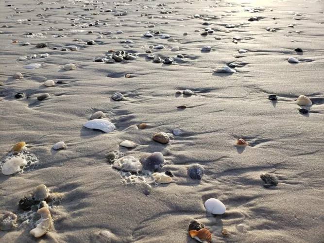 As the sun was rising!  by Realmeg1