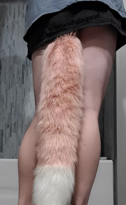 Every New Skirt Needs To Go Through the Tail Test with Me by nowwhatsgood