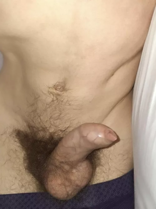 For the bush appreciation  by Slicksies