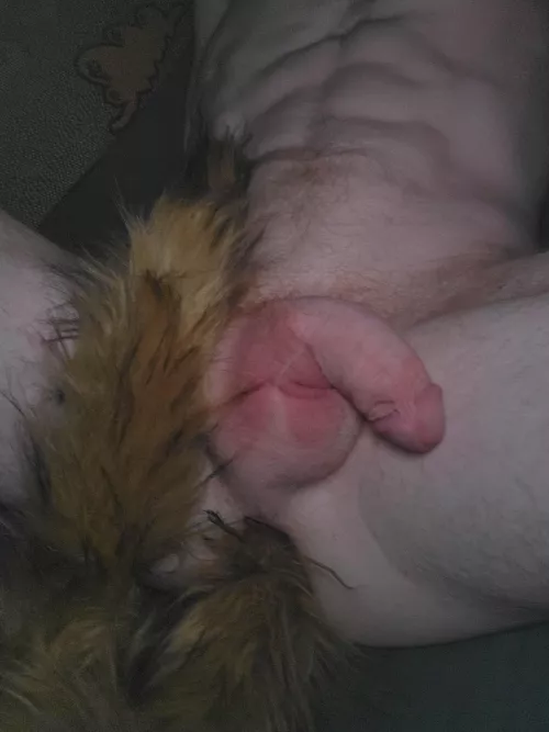 Ginger all the way through 🦊 by Naive_Safe_2634