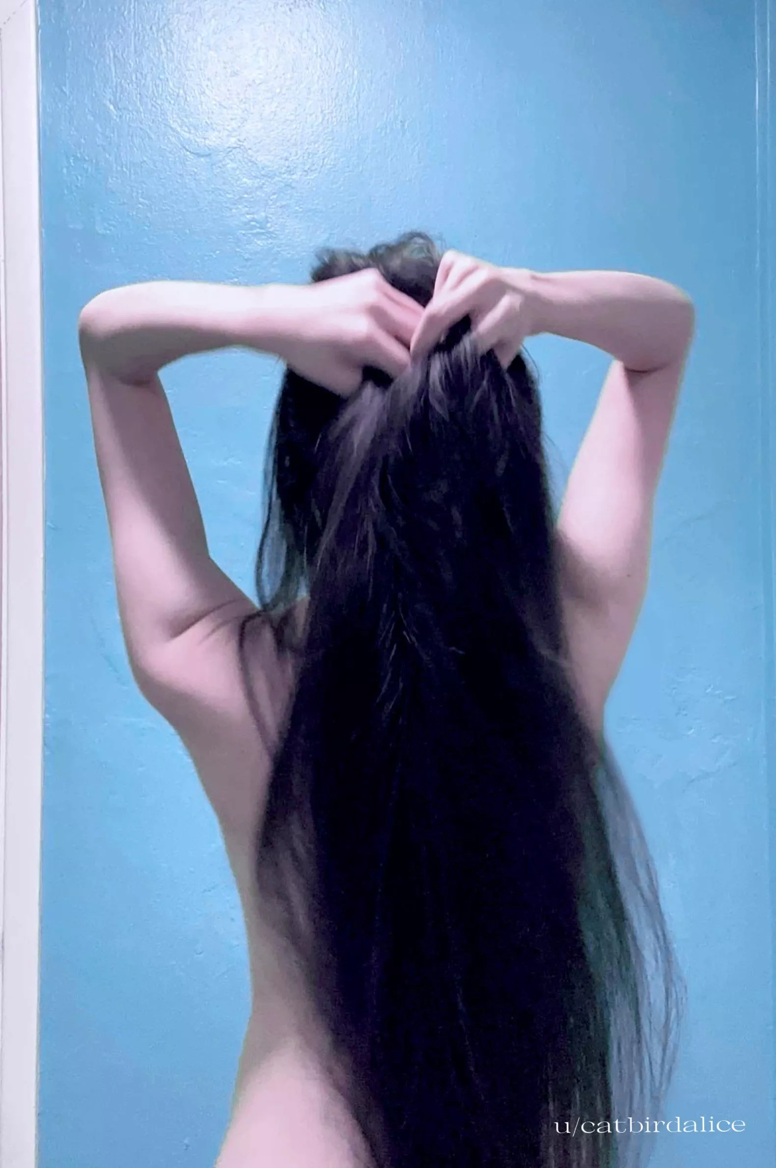 good hair day ;) posted by catbirdalice