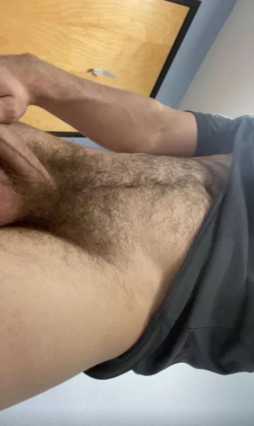 Hard at work by hazelmere3