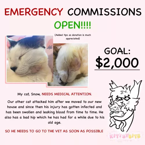 HELP MY CAT!! COMMISSIONS NOW OPEN TILL THE GOAL IS MET DM ME IF INTERESTED by Kittsybits