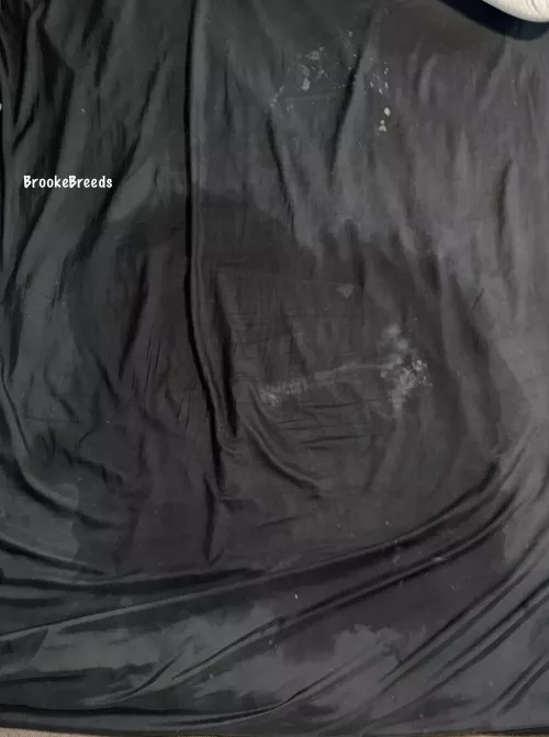 I came 3 different times and you can see each one😇 by BrookeBreeds