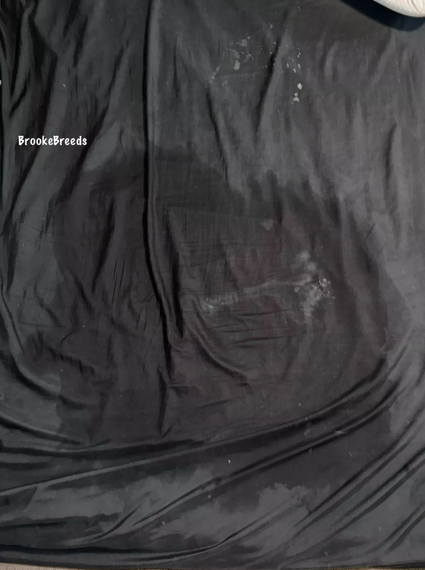 I came 3 different times and you can see each one😇 posted by BrookeBreeds